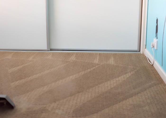 after residential carpet cleaning in worcester